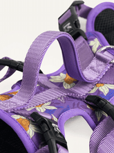 Full Coverage Dog Harness - Violet Butterfly Whispers